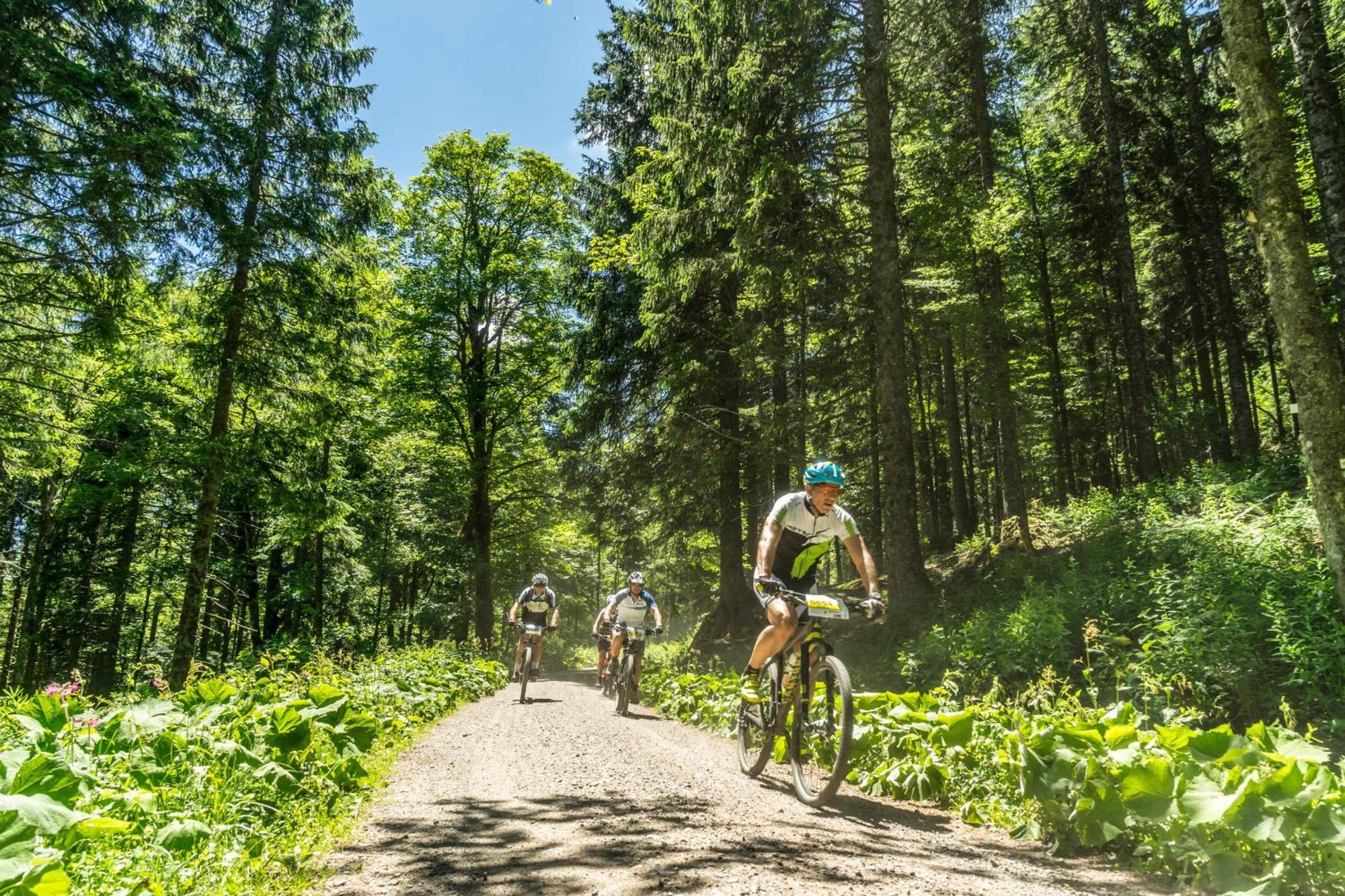 Drei Tannen - Wohnung 11 - Apartmenthaus, Titisee, Feldberg Eksteriør billede