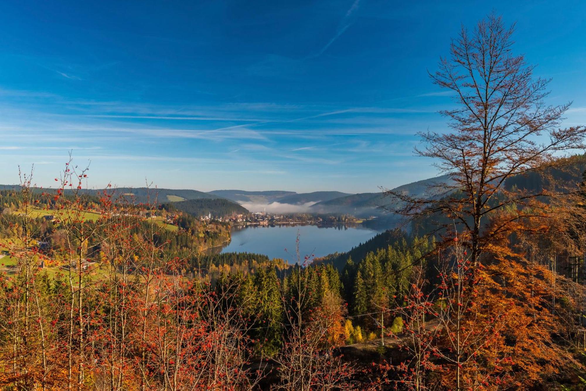 Drei Tannen - Wohnung 11 - Apartmenthaus, Titisee, Feldberg Eksteriør billede